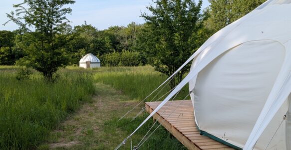 Stargazer and yurt returns