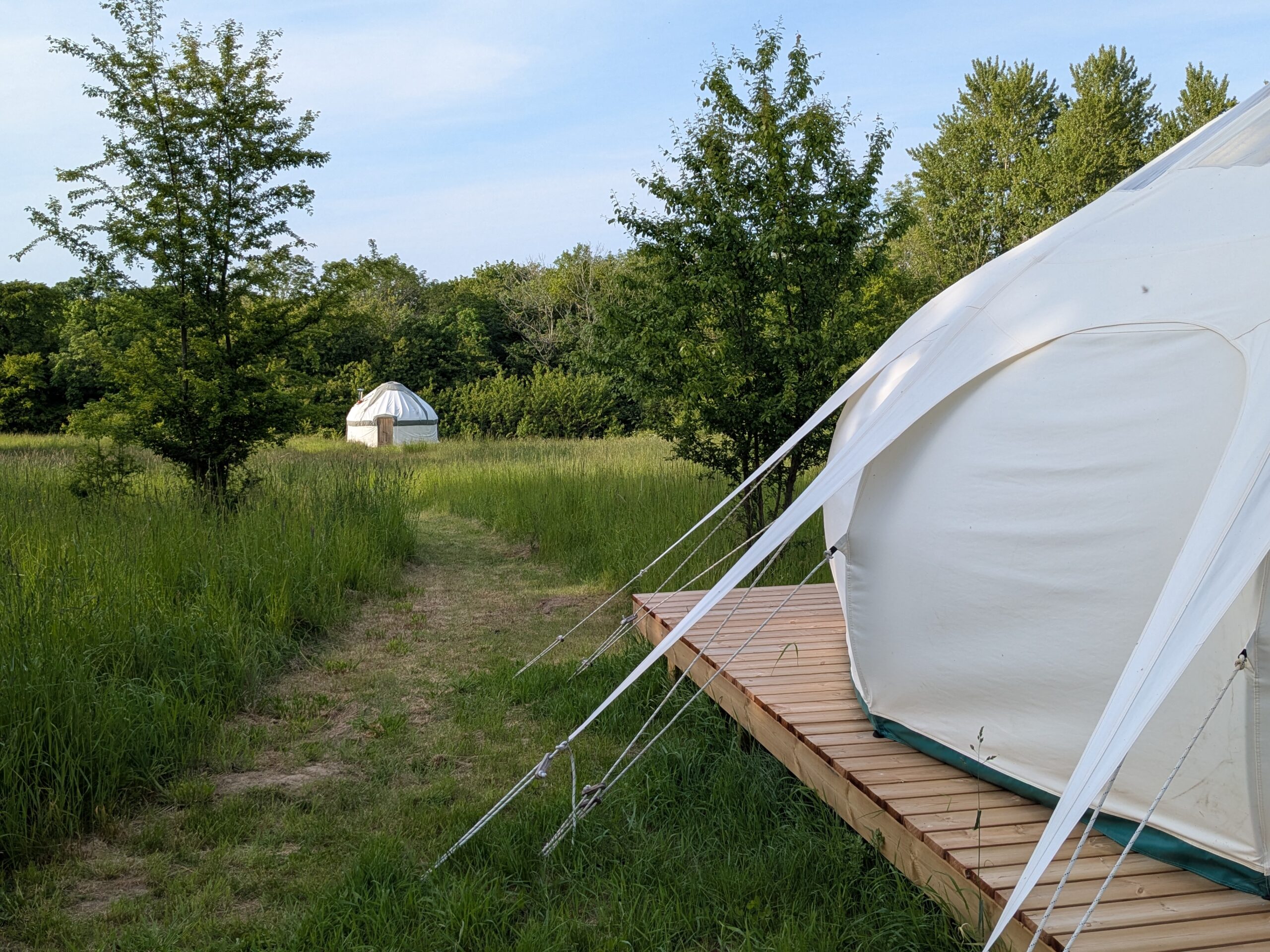 Stargazer and yurt returns